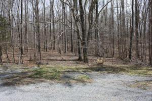 Lot 18 Brook Run