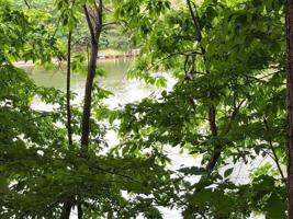 Lot 58 Bay Point CT
