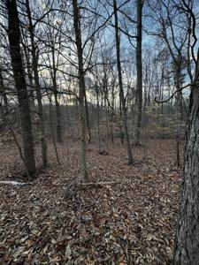Lot 23 Old Post RD