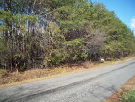 Lot 2 DOVE RD