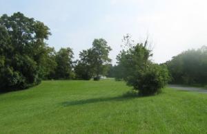 0 Hales Ford RD Lot #31L,31M,31N