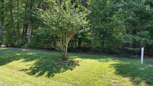 Lot 17 Baywood DR