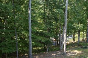 Lot 1 Gangplank RD