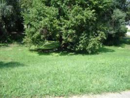 Lot A Dillards Hill RD