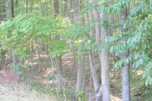 0 FAIRWAY DR Lot #415