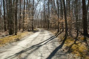 Lot 15 Periwinkle RD