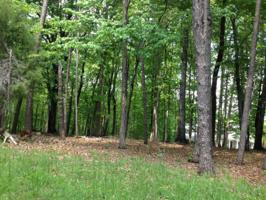 Lot 329 Morgans Mill DR