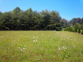 Lot #62 Laura LN