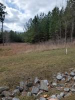 Lot 178 Hidden Cove LN