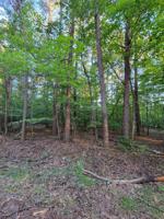 Lot 49 Alpine RD