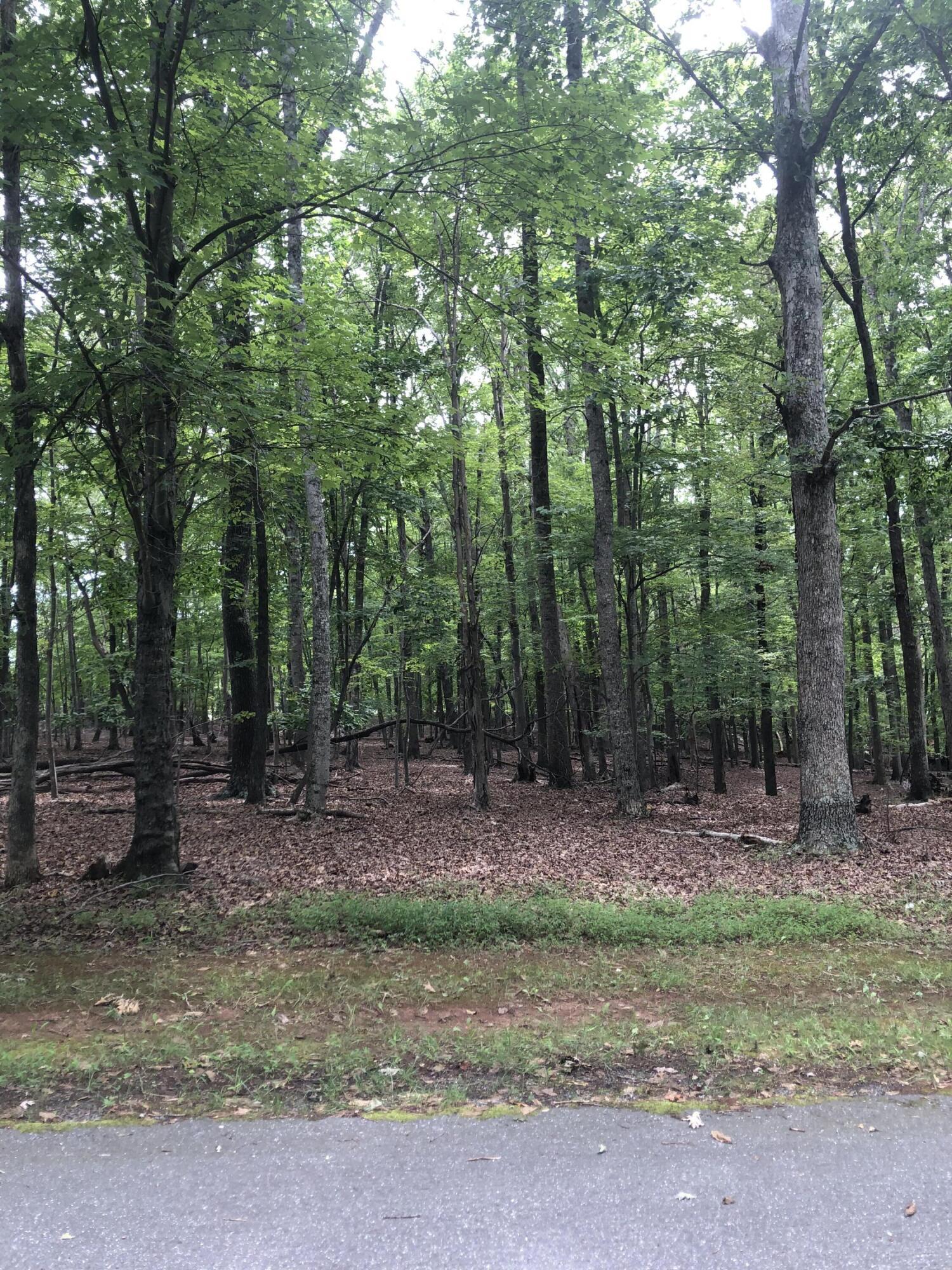 Image 2: lot3
