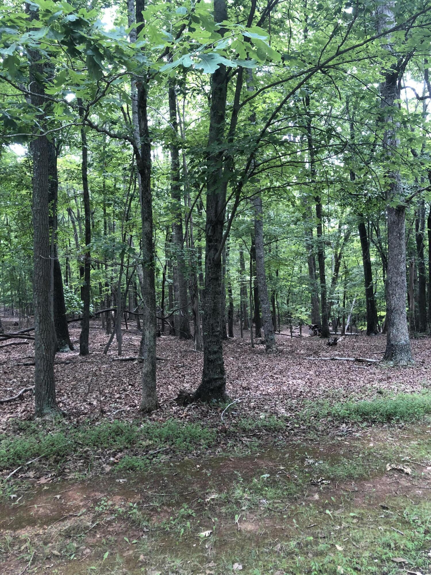 Image 3: lot2