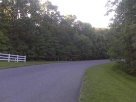 Lot 93 BOARDWALK DR