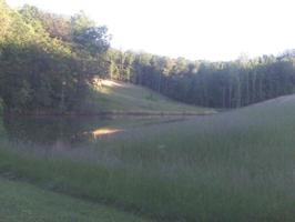LOT 94 HOMESTEAD DR