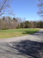 Lot 380 Morgans Mill DR