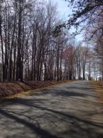 Lot 424 Fairway DR
