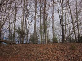 Lot 1 HARDY RD