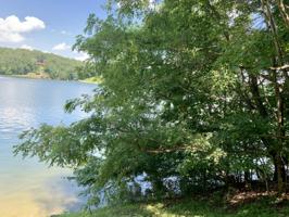Lot #5,6 & 7 Oakcliff DR