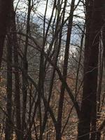 Lot 6 Hickory DR
