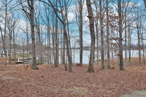 Lot 9A Big Cove DR