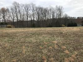 Lot 7 Back Nine DR