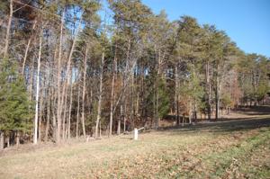 Lot 1 River Creek RD