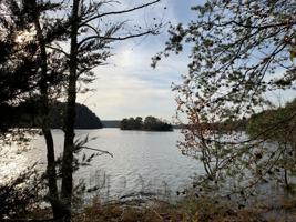 Lot 118 ISLAND POINT DR