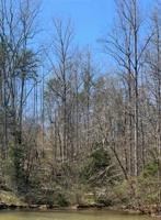 Lot 16 Waterford DR