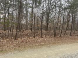Lot 38 Red Birch DR