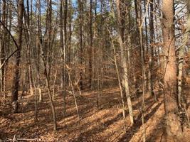 Lot 84 Heron Pointe DR