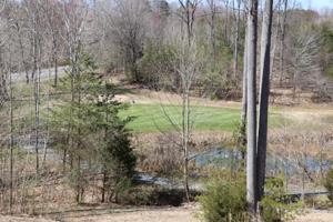Lot 7 DIDDEE CT