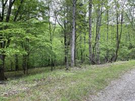 Lot #32 Chestnut DR