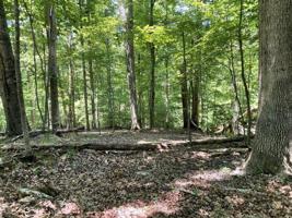 Lot 15 Cedar Bluff LN