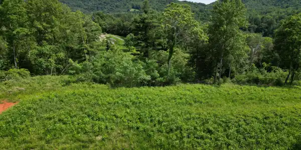 Image 3: DJI_0181