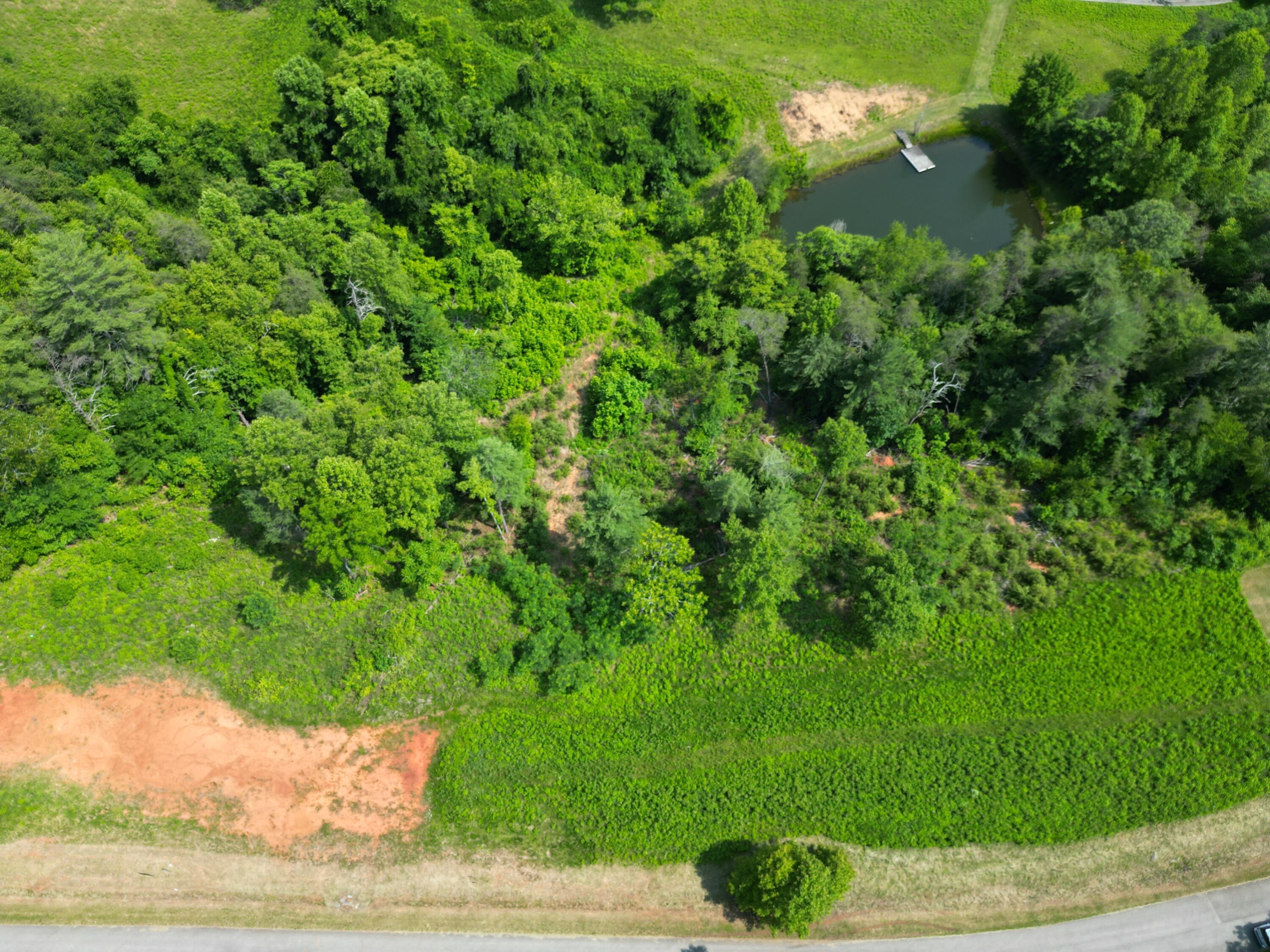 Image 4: DJI_0186