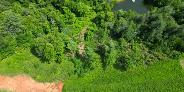 Image 4: DJI_0186