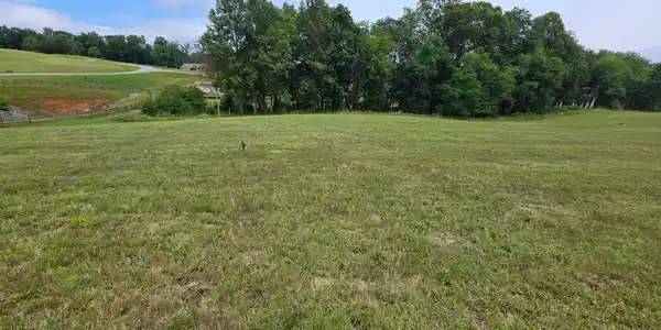 Image 2: gentle hill mostly level