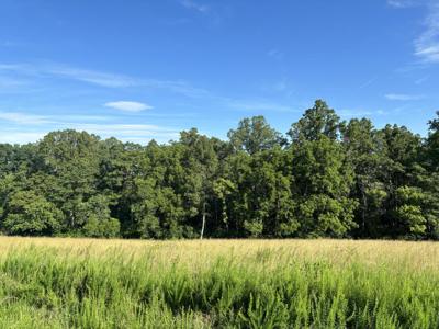 Lot 46 Crestview RD