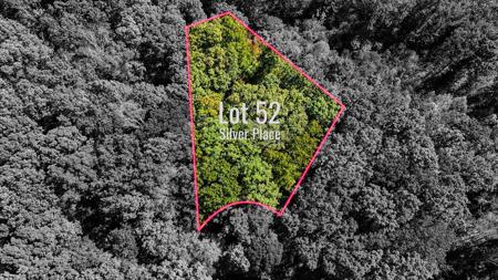 Lot 52 Silver PL
