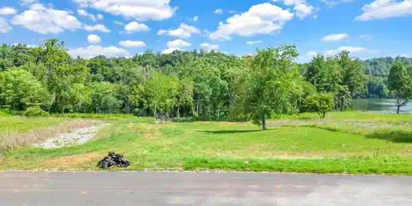 Image 4: DJI_0029