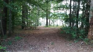 0 Sunset Point DR Lot #6