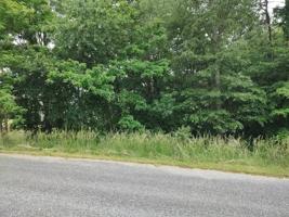 Lot 41 Old Farmhouse DR