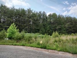 Lot 48 Dillon Cabin RD