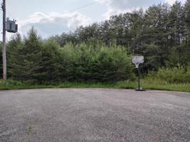 Lot 49 Dillon Cabin RD