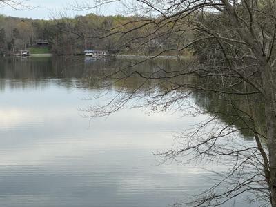 Lot 11 Chestnut Point DR