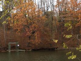 LOT 19 CHESTNUT POINTE DR
