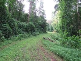 Lot 22 Carroll RD