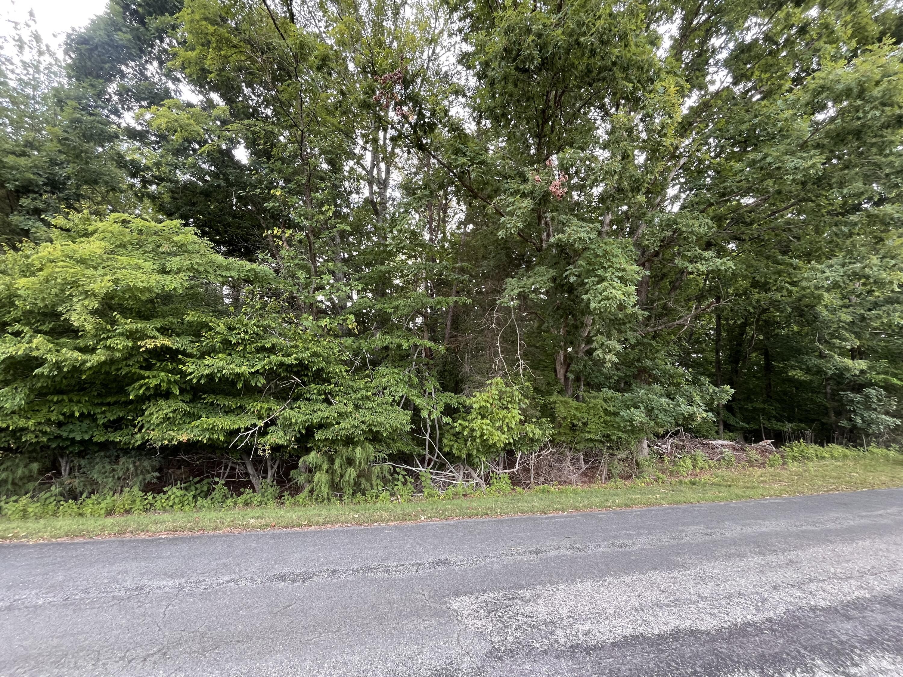 Image 3: 0 Parford Ln.
