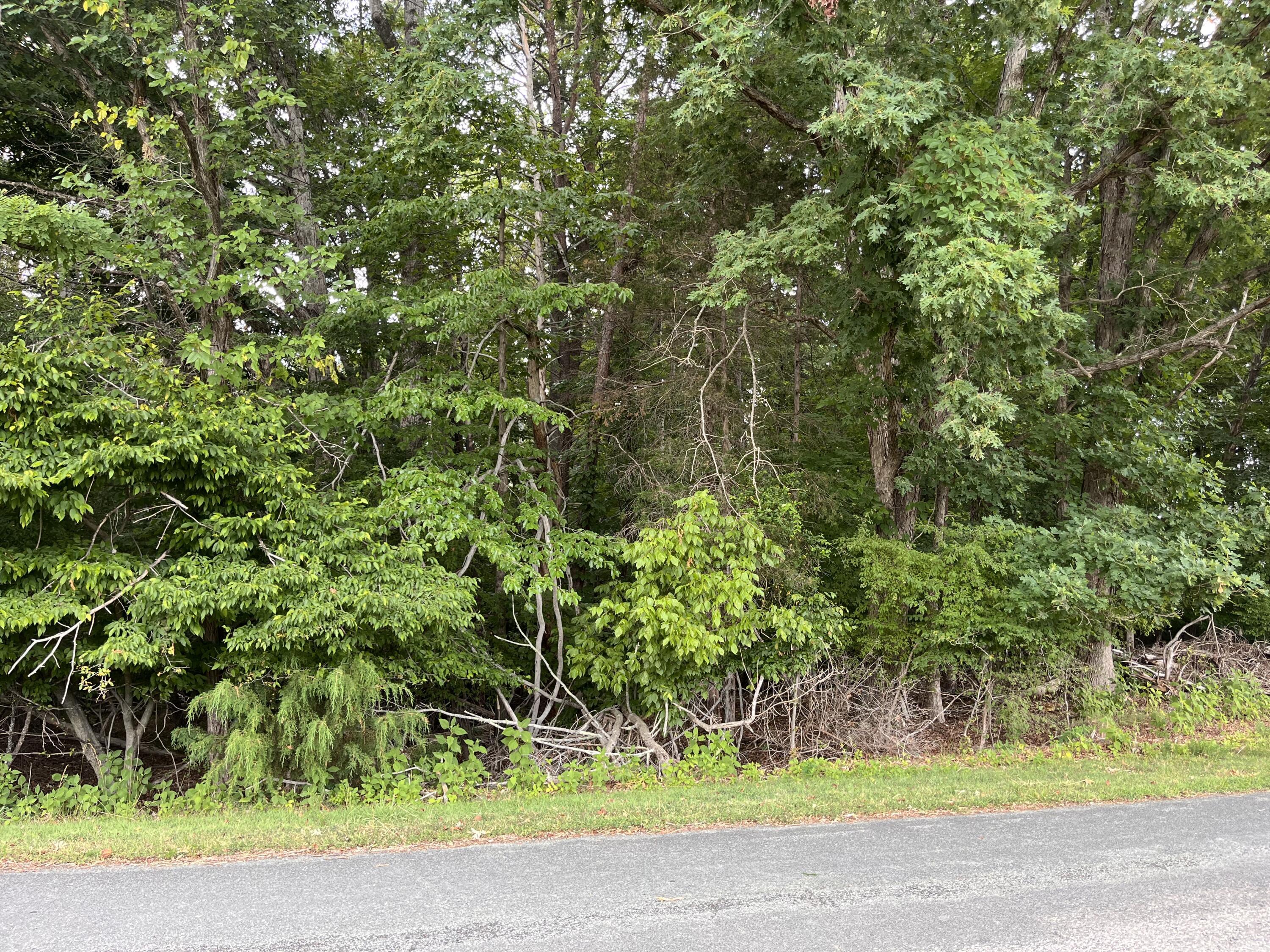 Image 4: 0 Parford Ln.