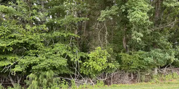 Image 4: 0 Parford Ln.